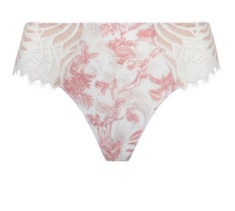 Antigel, slip, Jungle de jouy