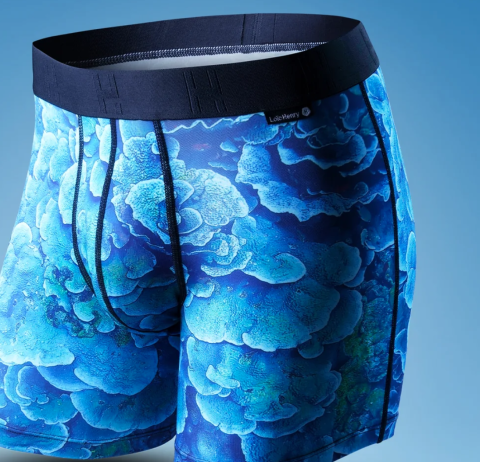 Loic Henry, Boxer, Blue Corail