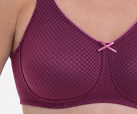 Anita, Prothesebh, Leni, Plum