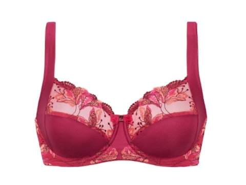 Dacapo, BH, Tonika, Bordeau