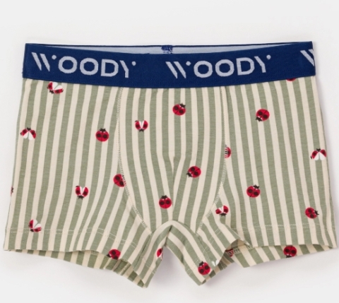 Woody, boxer, jongens, kaki-gestreept