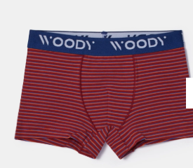 Woody, jongensboxershorts, bord + streep