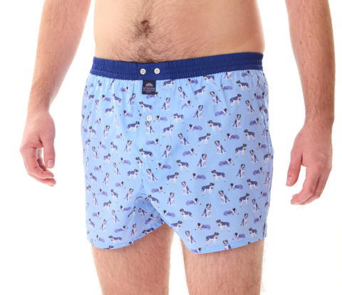 Mc Alson, boxer, sint-Bernard hond