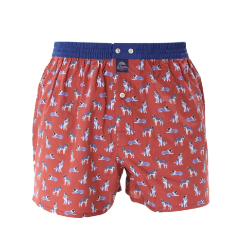 Mc Alson, boxer, sint-Bernardhond, bruin