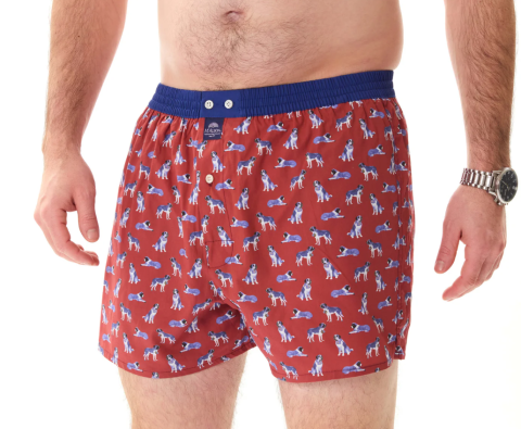 Mc Alson, boxer, sint-Bernardhond, bruin