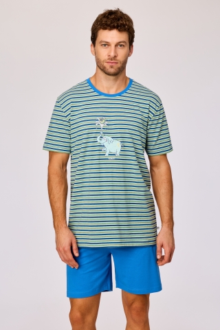 Woody, herenpyjama, olifant, gestreept