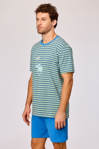 Woody, herenpyjama, olifant, gestreept