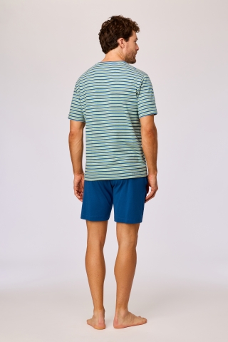 Woody, herenpyjama, groen-blauw streep