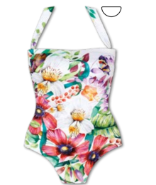 Roidal, bandeaubadpak, Orquidea