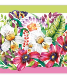 Roidal, Pareo, Robin 