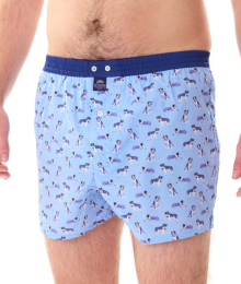 Mc Alson, boxer, sint-Bernard hond