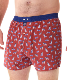 Mc Alson, boxer, sint-Bernardhond, bruin