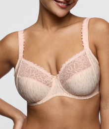 Prima Donna, beugelbh, Monterrey, venus