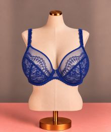 Prima Donna, plungebh, shimla, crazyblue
