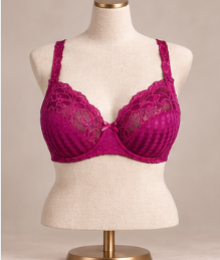 Prima Donna, Madison, BeugelBH, rose