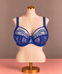 Prima Donna, beugelbh, shimla, crazyblue