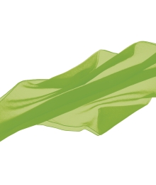 Pareo